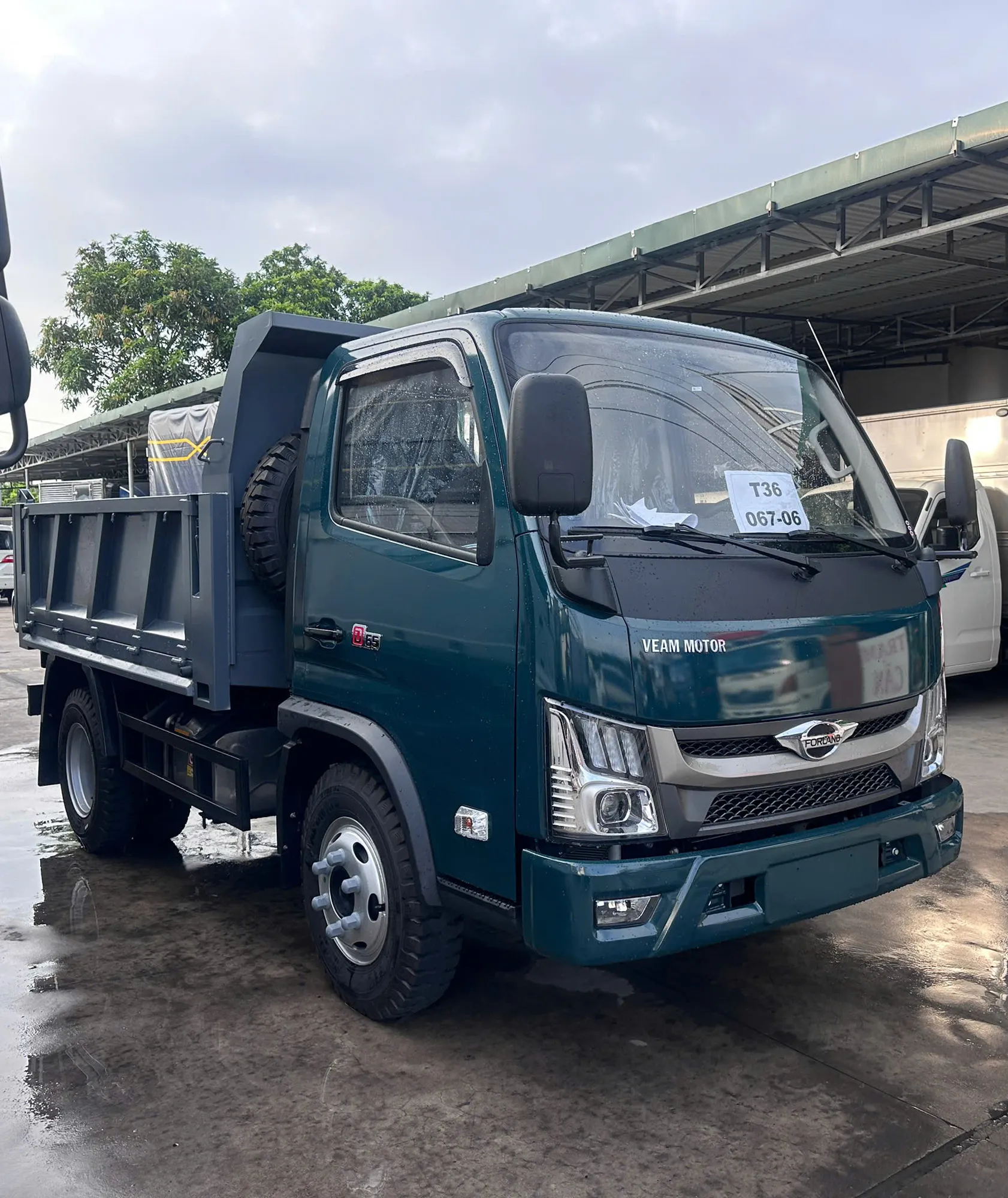 XE BEN FORLAND D65