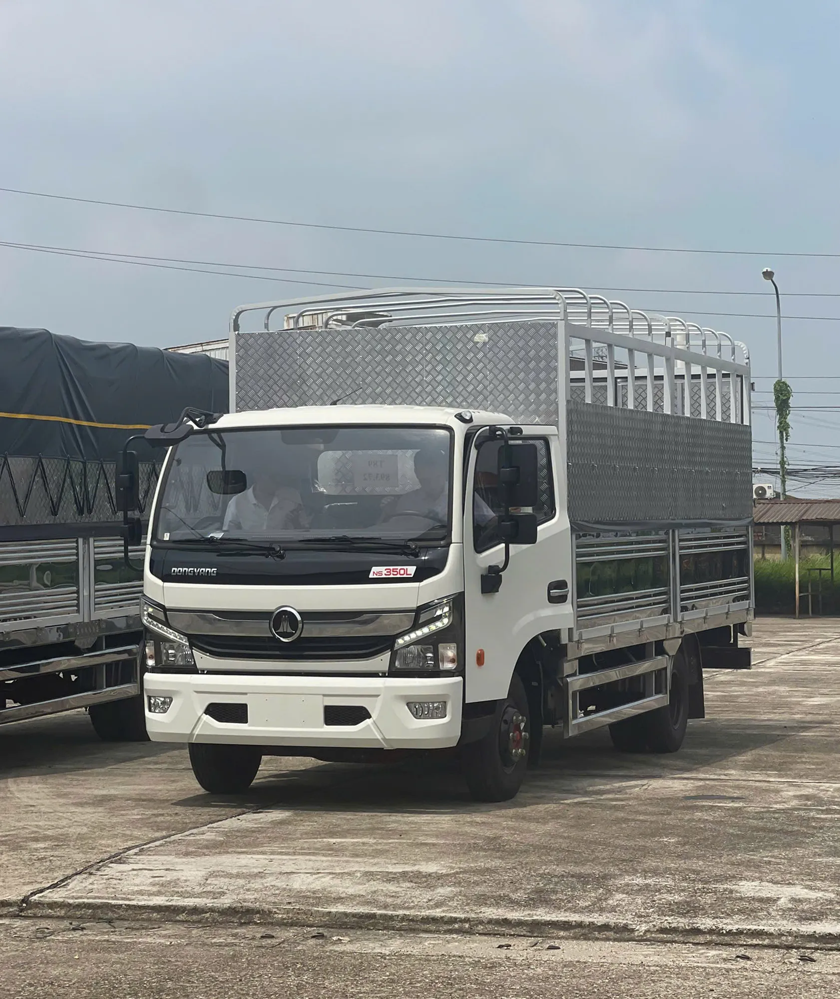 Đồng Vàng NS350L