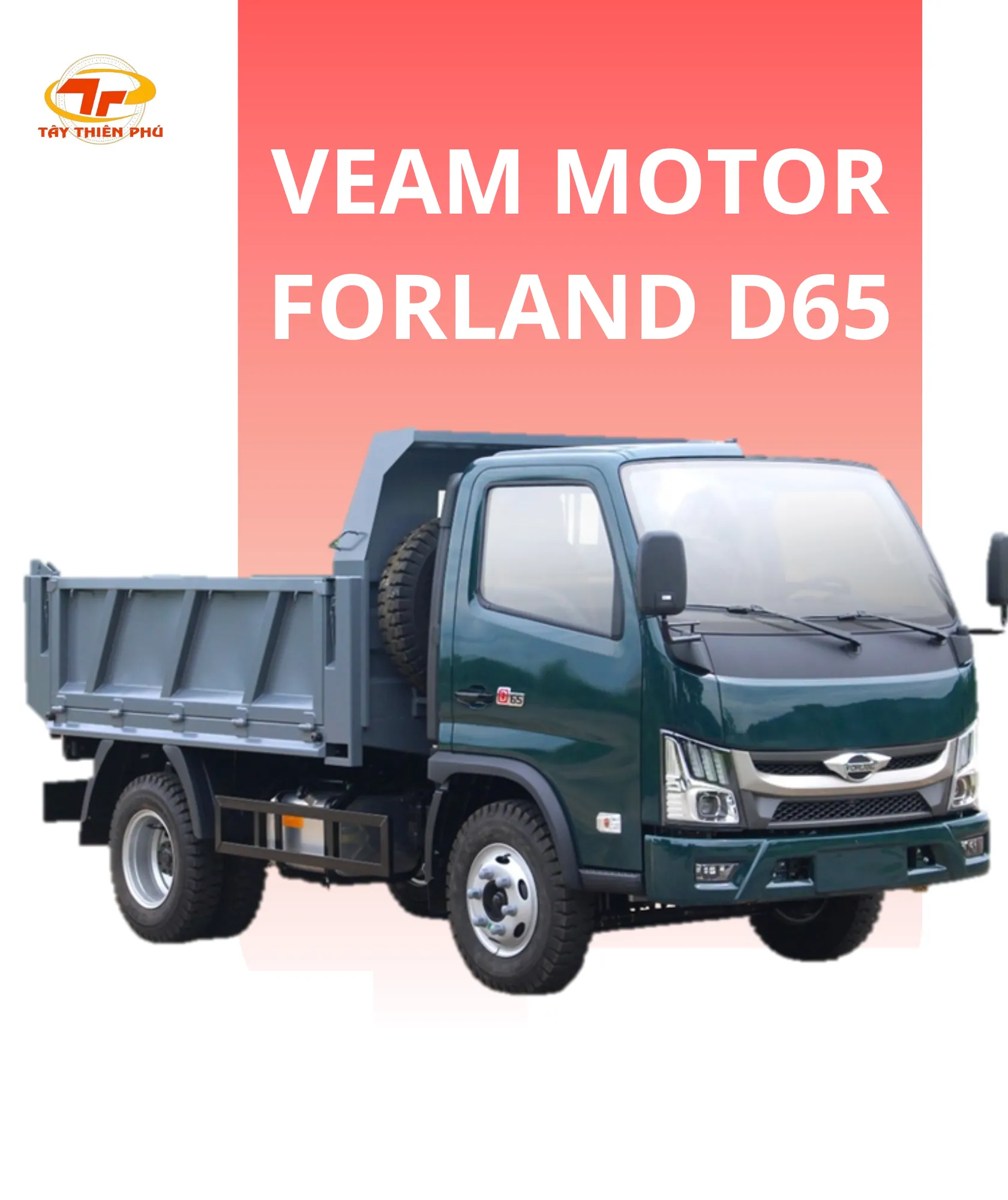 FORLAND D65